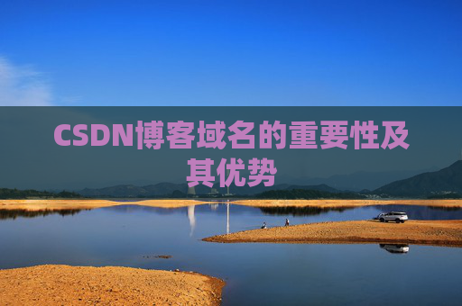 CSDN博客域名的重要性及其优势